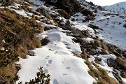 Sulle nevi alle baite alte in Arete-Valegino dal Forno di Cambrembo il 1 dicembre 2016 - FOTOGALLERY